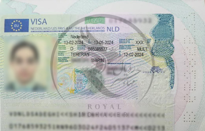 royal mohajer Portfolio (1)