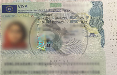 royal mohajer Portfolio (15)