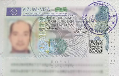 royal mohajer Portfolio (2)