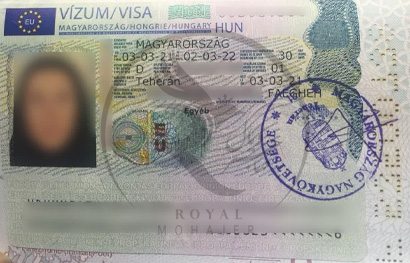 royal mohajer Portfolio (20)