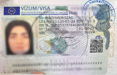 royal mohajer Portfolio (8)