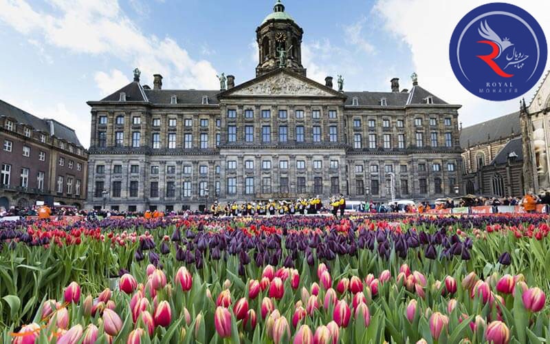 دانشگاه‌ های برتر هلند