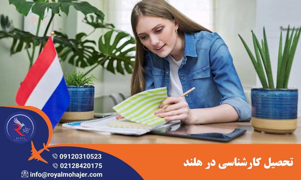 تحصیل کارشناسی در هلند